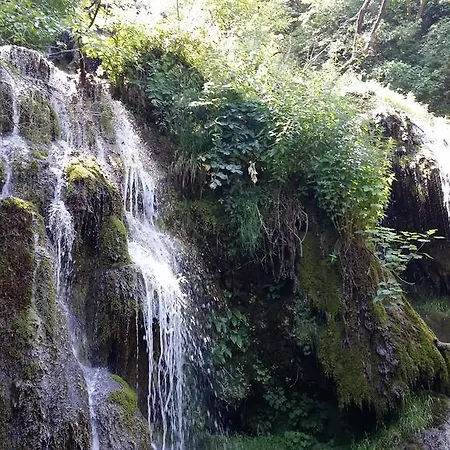 Maarata Krushuna